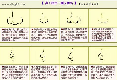 鼻環面相|【鼻尖面相】揭開鼻尖面相的秘密：你的鼻子形狀透露哪些個性與。